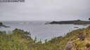 ./images/calvert/foggy-cove/20260604/foggy-cove20260604_142001M.jpg