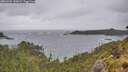 ./images/calvert/foggy-cove/20260604/foggy-cove20260604_143001M.jpg