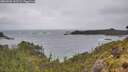 ./images/calvert/foggy-cove/20260604/foggy-cove20260604_143501M.jpg