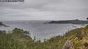 ./images/calvert/foggy-cove/20260604/foggy-cove20260604_144501M.jpg