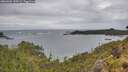 ./images/calvert/foggy-cove/20260604/foggy-cove20260604_150501M.jpg