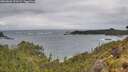 ./images/calvert/foggy-cove/20260604/foggy-cove20260604_151002M.jpg