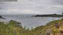 ./images/calvert/foggy-cove/20260604/foggy-cove20260604_151502M.jpg
