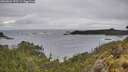 ./images/calvert/foggy-cove/20260604/foggy-cove20260604_153501M.jpg