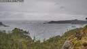 ./images/calvert/foggy-cove/20260604/foggy-cove20260604_154002M.jpg