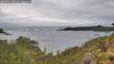 ./images/calvert/foggy-cove/20260604/foggy-cove20260604_160002M.jpg