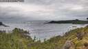 ./images/calvert/foggy-cove/20260604/foggy-cove20260604_161002M.jpg