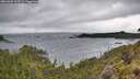 ./images/calvert/foggy-cove/20260604/foggy-cove20260604_163501M.jpg