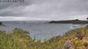 ./images/calvert/foggy-cove/20260604/foggy-cove20260604_164001M.jpg