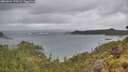 ./images/calvert/foggy-cove/20260604/foggy-cove20260604_170502M.jpg