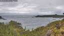 ./images/calvert/foggy-cove/20260604/foggy-cove20260604_172001M.jpg