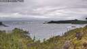 ./images/calvert/foggy-cove/20260604/foggy-cove20260604_172501M.jpg