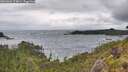 ./images/calvert/foggy-cove/20260604/foggy-cove20260604_174001M.jpg