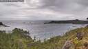./images/calvert/foggy-cove/20260604/foggy-cove20260604_175502M.jpg