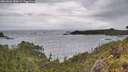 ./images/calvert/foggy-cove/20260604/foggy-cove20260604_180001M.jpg