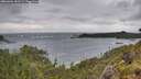 ./images/calvert/foggy-cove/20260604/foggy-cove20260604_181501M.jpg