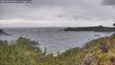 ./images/calvert/foggy-cove/20260604/foggy-cove20260604_182002M.jpg