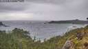 ./images/calvert/foggy-cove/20260604/foggy-cove20260604_185001M.jpg