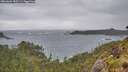 ./images/calvert/foggy-cove/20260604/foggy-cove20260604_185501M.jpg