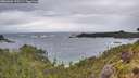 ./images/calvert/foggy-cove/20260604/foggy-cove20260604_190501M.jpg