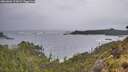 ./images/calvert/foggy-cove/20260604/foggy-cove20260604_193002M.jpg