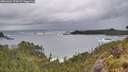./images/calvert/foggy-cove/20260604/foggy-cove20260604_194501M.jpg