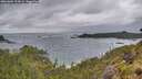 ./images/calvert/foggy-cove/20260604/foggy-cove20260604_195001M.jpg