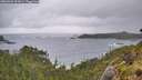 ./images/calvert/foggy-cove/20260604/foggy-cove20260604_202001M.jpg