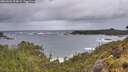 ./images/calvert/foggy-cove/20260604/foggy-cove20260604_204001M.jpg