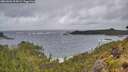 ./images/calvert/foggy-cove/20260604/foggy-cove20260604_205001M.jpg