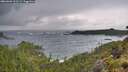 ./images/calvert/foggy-cove/20260604/foggy-cove20260604_211501M.jpg