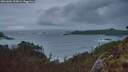 ./images/calvert/foggy-cove/20260604/foggy-cove20260604_220001M.jpg