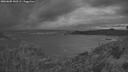 ./images/calvert/foggy-cove/20260605/foggy-cove20260605_043502M.jpg