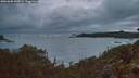 ./images/calvert/foggy-cove/20260605/foggy-cove20260605_045001M.jpg