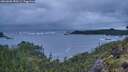 ./images/calvert/foggy-cove/20260605/foggy-cove20260605_050501M.jpg
