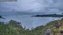 ./images/calvert/foggy-cove/20260605/foggy-cove20260605_051502M.jpg