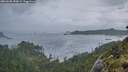 ./images/calvert/foggy-cove/20260605/foggy-cove20260605_053001M.jpg