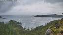 ./images/calvert/foggy-cove/20260605/foggy-cove20260605_053501M.jpg