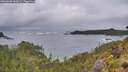 ./images/calvert/foggy-cove/20260605/foggy-cove20260605_062001M.jpg