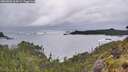 ./images/calvert/foggy-cove/20260605/foggy-cove20260605_063002M.jpg