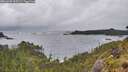 ./images/calvert/foggy-cove/20260605/foggy-cove20260605_063501M.jpg