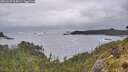 ./images/calvert/foggy-cove/20260605/foggy-cove20260605_064501M.jpg