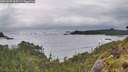 ./images/calvert/foggy-cove/20260605/foggy-cove20260605_065501M.jpg