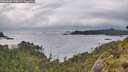 ./images/calvert/foggy-cove/20260605/foggy-cove20260605_070002M.jpg