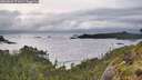 ./images/calvert/foggy-cove/20260605/foggy-cove20260605_071001M.jpg