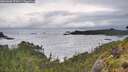 ./images/calvert/foggy-cove/20260605/foggy-cove20260605_072001M.jpg