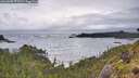 ./images/calvert/foggy-cove/20260605/foggy-cove20260605_072501M.jpg