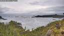 ./images/calvert/foggy-cove/20260605/foggy-cove20260605_073001M.jpg