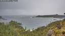 ./images/calvert/foggy-cove/20260605/foggy-cove20260605_075001M.jpg