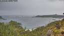 ./images/calvert/foggy-cove/20260605/foggy-cove20260605_080501M.jpg